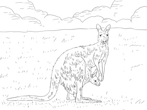 Eastern Grey Kangaroo With Baby Coloring Page